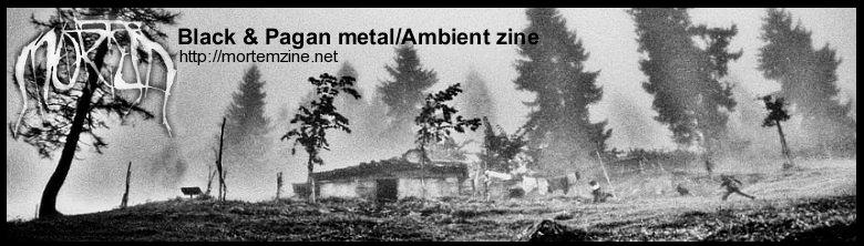 na úvodní stránku